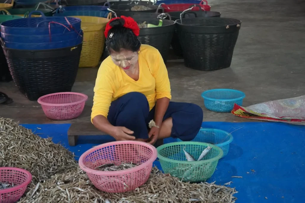 Thailand Social Commerce Market Report 2025–2030: Facebook, TikTok, and LINE Lead Amid Intensifying Competition