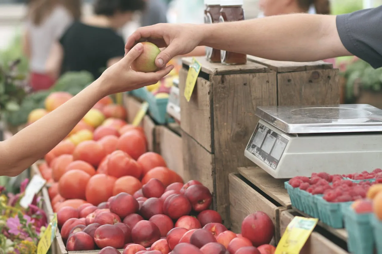 Storelli Chooses Seek AI to Enhance Data-Driven Growth and Marketing Strategies