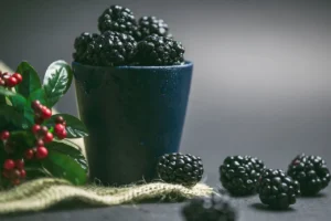 Driscoll’s Sweetest Batch™ Blackberries Win 2025