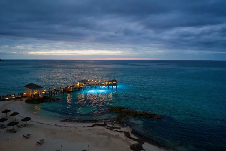 Gong cha Expands to the Caribbean with New Location at Atlantis Paradise Island